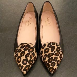 Ferca 81 | Made in Italy